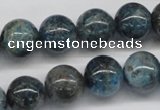 CAP07 15.5 inches 14mm round apatite gemstone beads wholesale