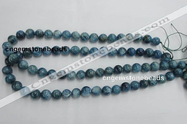 CAP204 15.5 inches 10mm round natural apatite gemstone beads