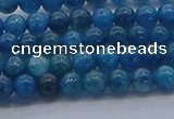 CAP360 15.5 inches 4mm round apatite gemstone beads wholesale