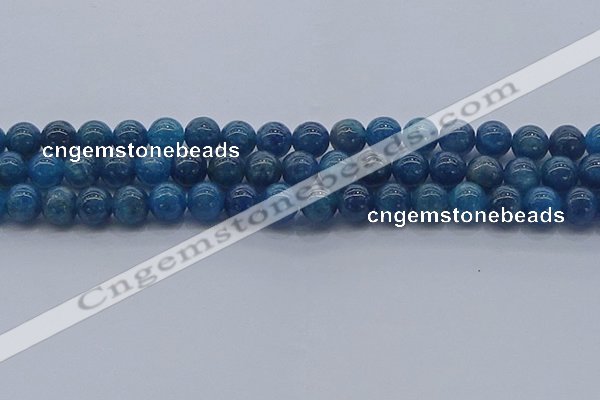 CAP362 15.5 inches 8mm round apatite gemstone beads wholesale