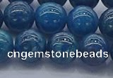 CAP363 15.5 inches 10mm round apatite gemstone beads wholesale