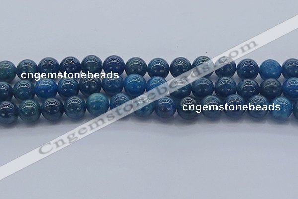 CAP363 15.5 inches 10mm round apatite gemstone beads wholesale