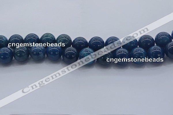 CAP366 15.5 inches 16mm round apatite gemstone beads wholesale