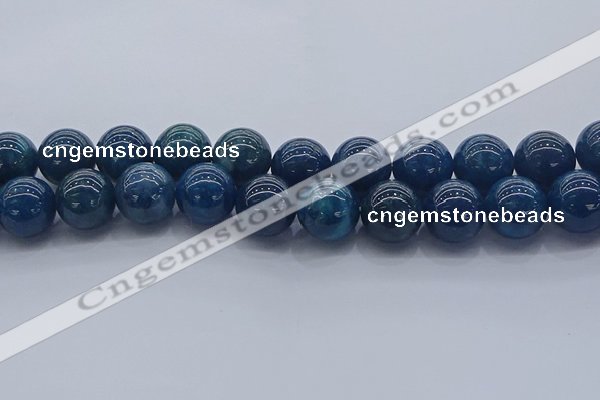 CAP367 15.5 inches 18mm round apatite gemstone beads wholesale