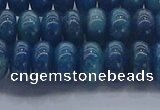 CAP370 15.5 inches 5*8mm rondelle apatite gemstone beads
