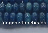 CAP370 15.5 inches 5*8mm rondelle apatite gemstone beads