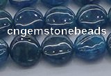 CAP381 15.5 inches 10mm flat round apatite gemstone beads