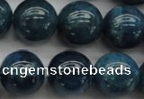 CAP403 15.5 inches 10mm round A grade natural apatite beads