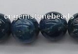 CAP404 15.5 inches 12mm round A grade natural apatite beads