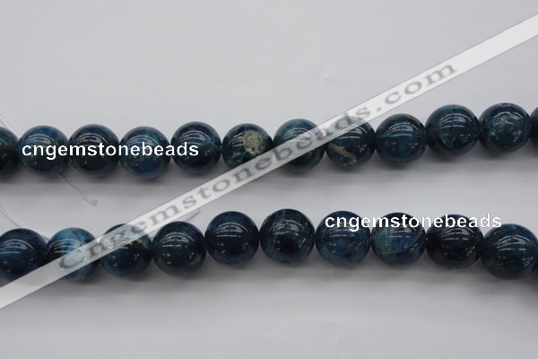 CAP404 15.5 inches 12mm round A grade natural apatite beads