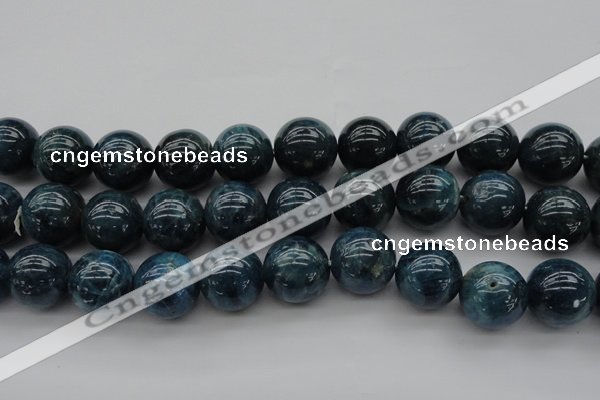 CAP405 15.5 inches 14mm round A grade natural apatite beads