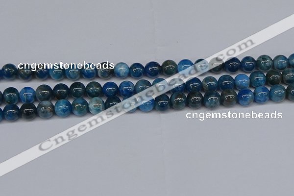 CAP412 15.5 inches 8mm round apatite gemstone beads wholesale
