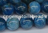 CAP414 15.5 inches 12mm round apatite gemstone beads wholesale