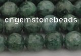 CAP501 15.5 inches 8mm round natual green apatite beads