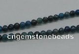 CAP51 15.5 inches 4mm round dyed apatite gemstone beads wholesale