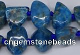 CAP532 15.5 inches 10*12mm - 16*22mm freeform apatite beads