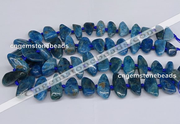 CAP533 15.5 inches 10*20mm - 15*35mm freeform apatite beads