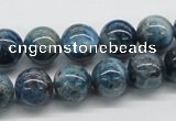 CAP55 15.5 inches 12mm round dyed apatite gemstone beads wholesale