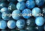 CAP577 15.5 inches 6mm round apatite beads wholesale