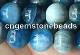 CAP579 15.5 inches 10mm round apatite beads wholesale