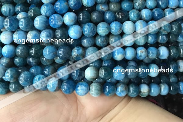 CAP579 15.5 inches 10mm round apatite beads wholesale