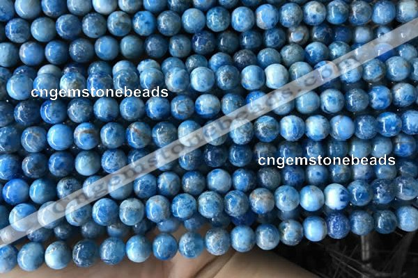 CAP583 15.5 inches 6mm round apatite gemstone beads