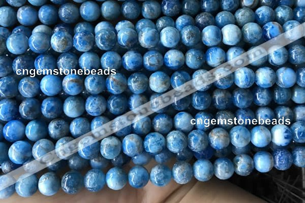 CAP584 15.5 inches 8mm round apatite gemstone beads