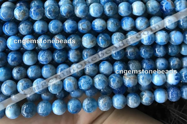 CAP585 15.5 inches 10mm round apatite beads wholesale