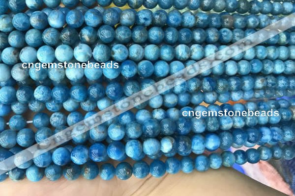 CAP588 15.5 inches 6mm round apatite gemstone beads