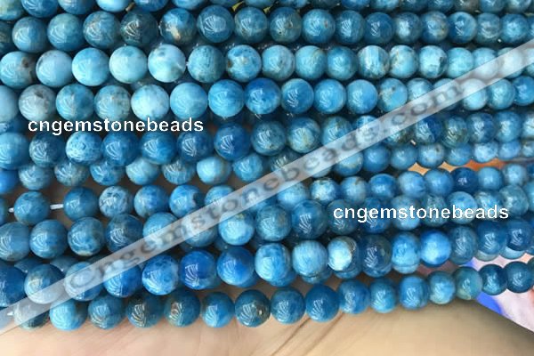 CAP589 15.5 inches 8mm round apatite gemstone beads