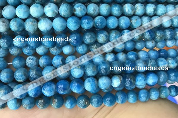 CAP590 15.5 inches 10mm round apatite beads wholesale