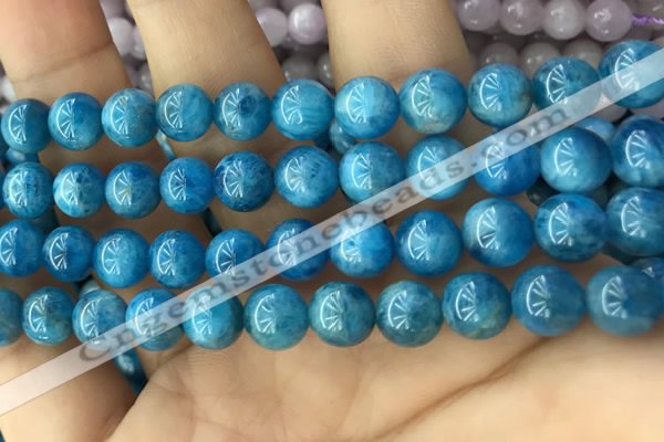 CAP612 15.5 inches 8mm round natural apatite gemstone beads