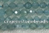 CAP620 15.5 inches 2mm faceted round tiny apatite gemstone beads