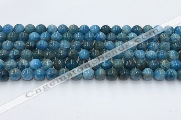 CAP630 15.5 inches 6mm round apatite beads wholesale