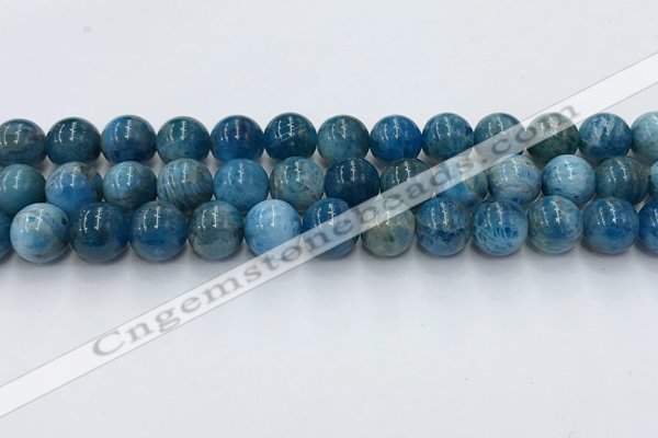 CAP632 15.5 inches 10mm round apatite beads wholesale