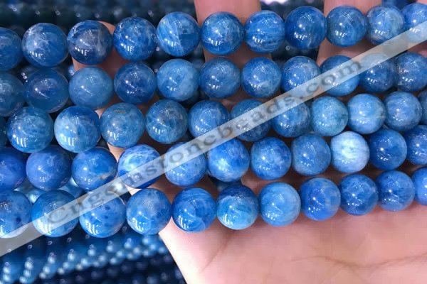 CAP639 15.5 inches 10mm round natural apatite gemstone beads