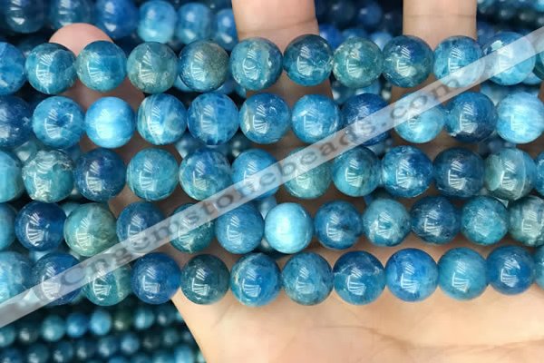 CAP653 15.5 inches 10mm round natural apatite beads wholesale