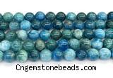 CAP757 15 inches 10mm round apatite gemstone beads wholesale