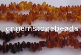 CAR202 24 inches 3*6mm natural amber chips beads wholesale