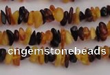 CAR204 24 inches 3*8mm natural amber chips beads wholesale