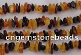 CAR205 32 inches 3*5mm natural amber chips beads wholesale