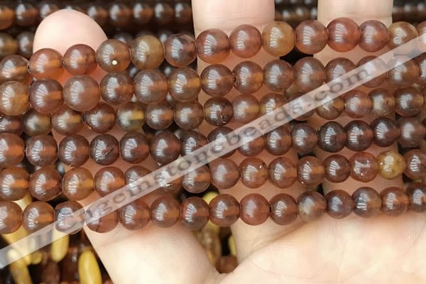 CAR236 15.5 inches 5mm - 5.5mm round natural amber beads wholesale