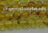 CAR521 15.5 inches 5mm - 6mm round natural amber beads wholesale