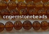 CAR526 15.5 inches 5mm - 6mm round natural amber beads wholesale