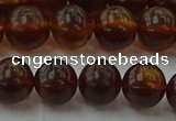 CAR528 15.5 inches 8mm - 9mm round natural amber beads wholesale