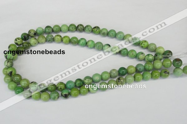 CAU03 10mm australia chrysoprase round gemstone beads Wholesale