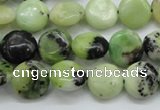 CAU201 15.5 inches 12mm flat round Australia chrysoprase beads