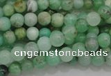 CAU301 15.5 inches 4mm round Australia chrysoprase beads wholesale