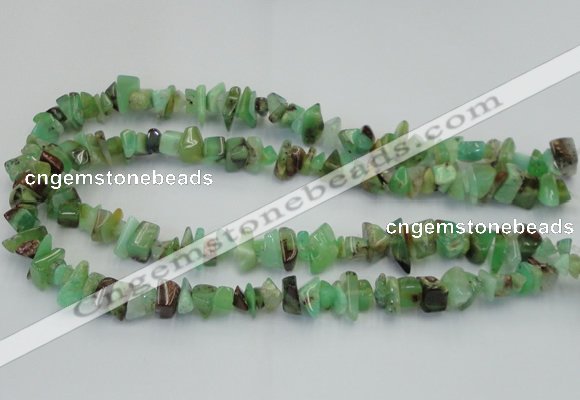 CAU407 15.5 inches 4*8mm - 6*14mm Australia chrysoprase chips beads