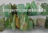 CAU408 15.5 inches 5*10mm - 10*15mm Australia chrysoprase chips beads